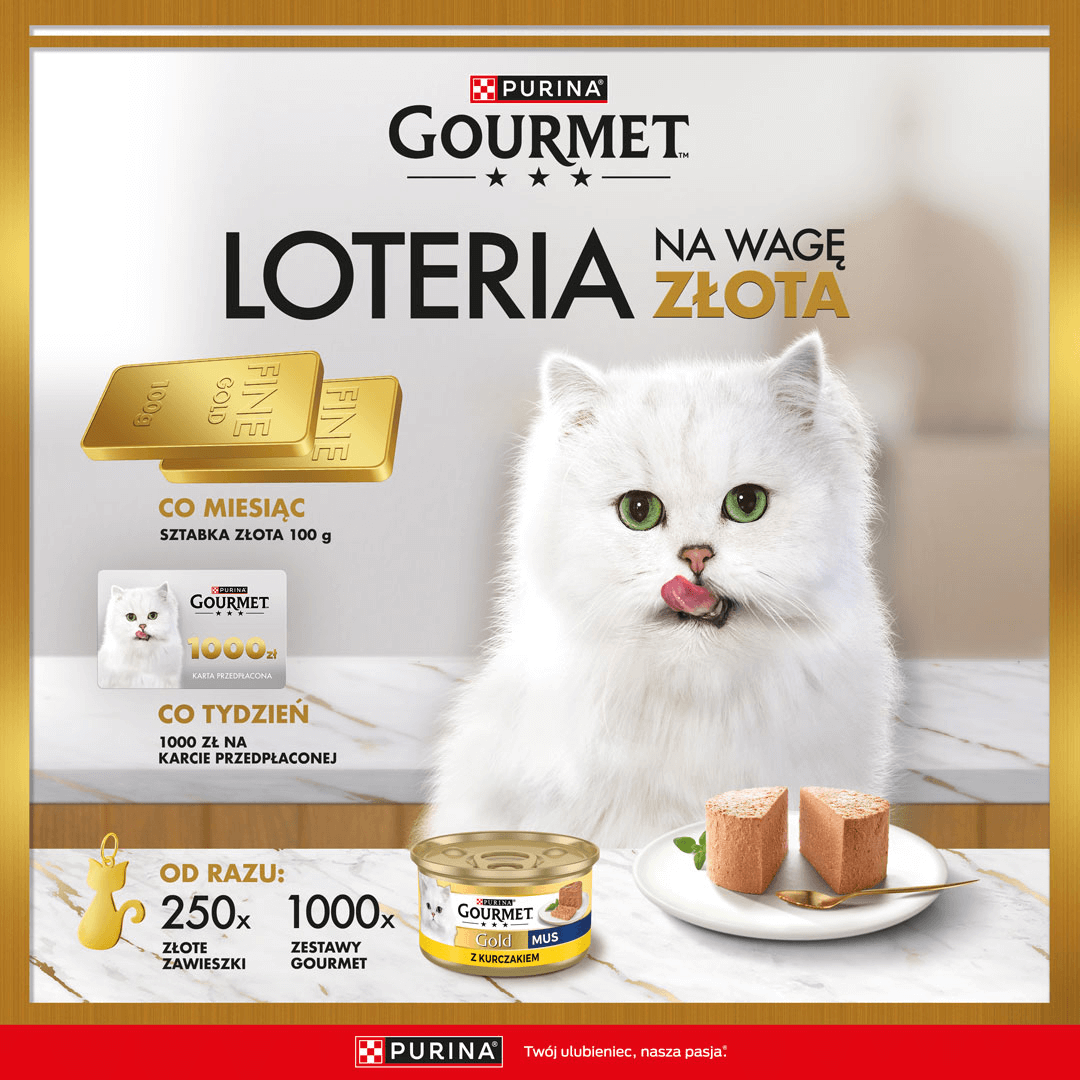 Gourmet